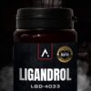 Ligandrol 4033
